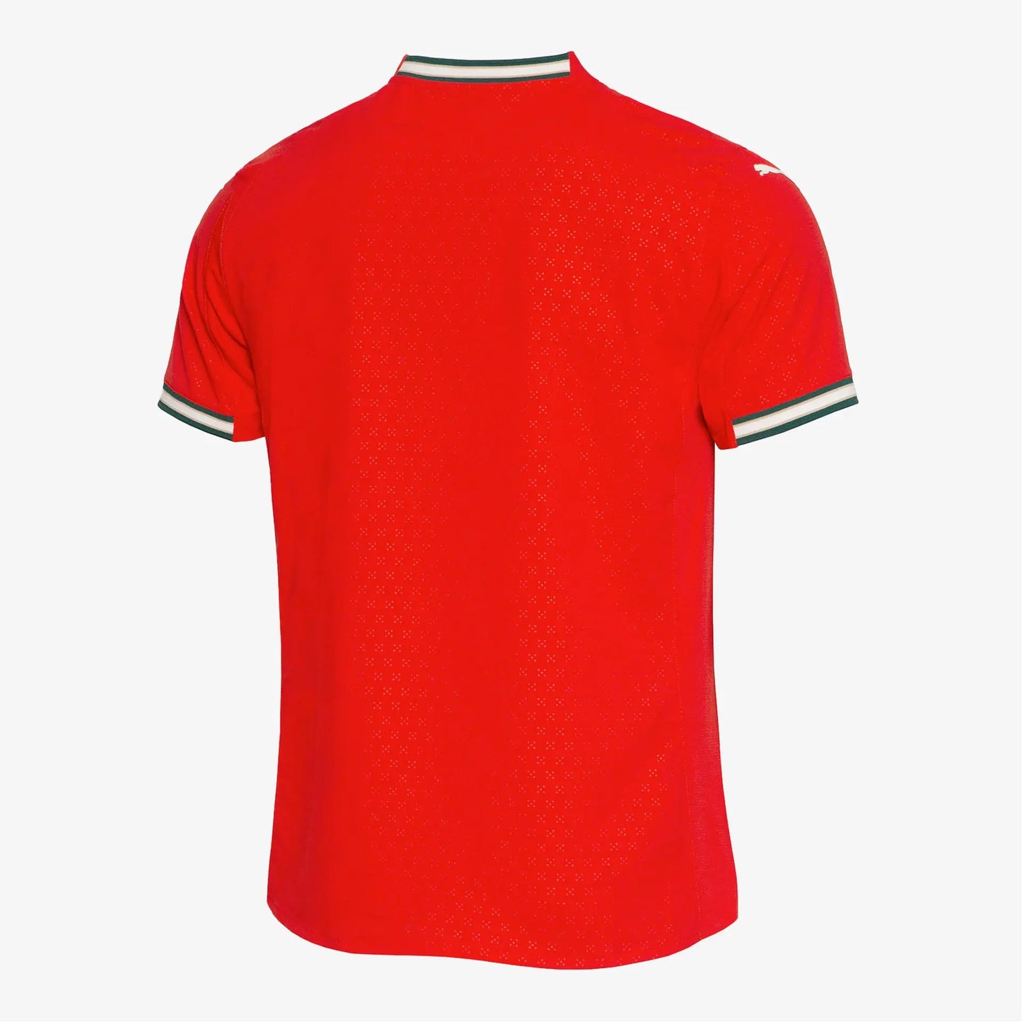 Maillot portugal 2025/26 domicile
